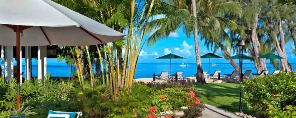 Coral Reef Club-1